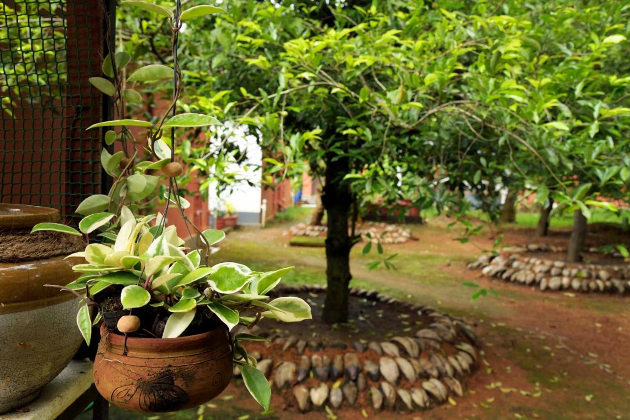 Stayvista At La Riva Heritage Villa With Bicycle Alappuzha Dış mekan fotoğraf